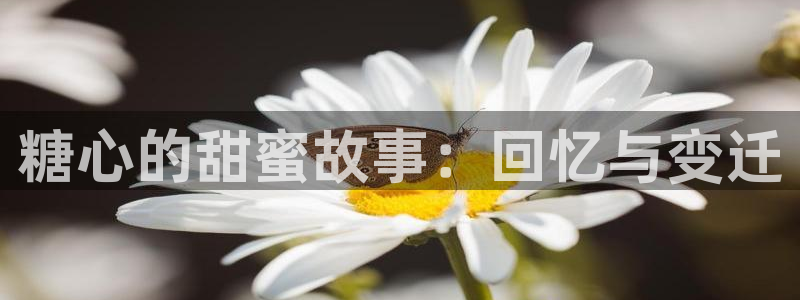 《糖心vlog》：糖心的甜蜜故事：回忆与