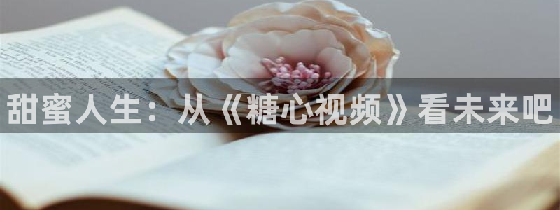 糖心vlog糖心时间到