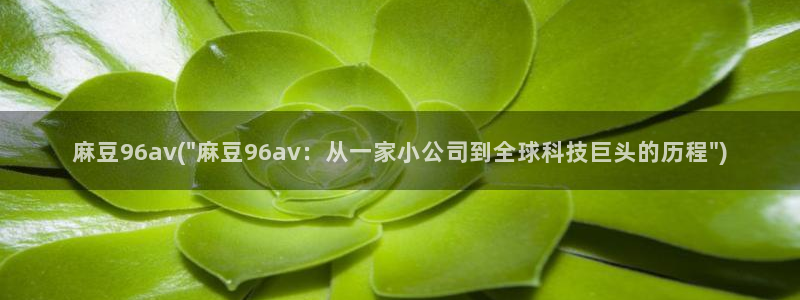 心糖vlog全部：麻豆96av(\