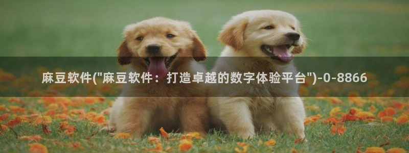 多己糖心在线vlog