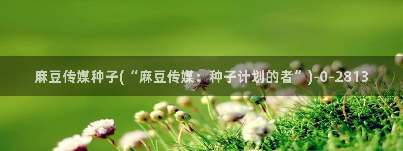 糖心vlog账号共享：麻豆传媒种子(“麻