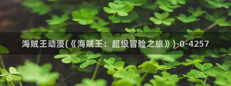 做爱动漫：海贼王动漫(《海贼王：超级冒险之旅》)