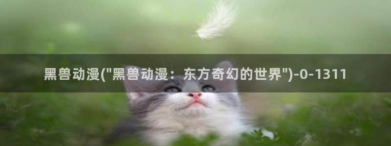 宫崎骏动漫：黑兽动漫(\