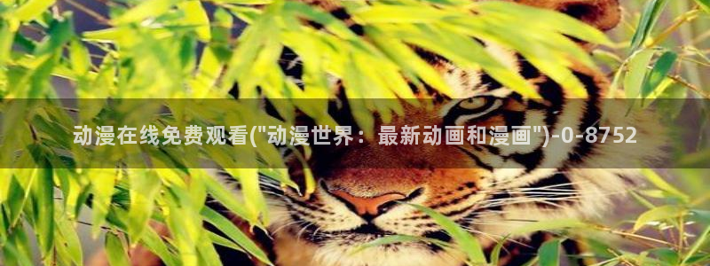 动漫美女视频