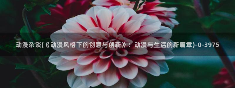 动漫同人