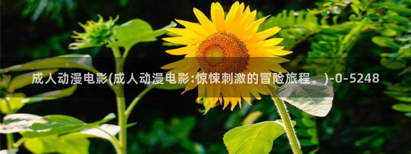 电影动漫：成人动漫电影(成人动漫电影:惊悚刺激的冒险旅程。)